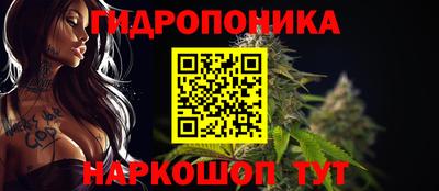 гидра Бузулук