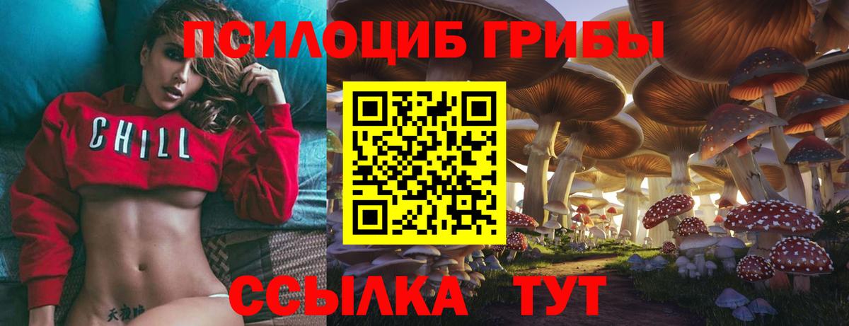 Галлюциногенные грибы Magic Shrooms Ртищево
